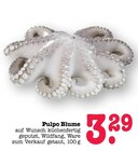 Aktuelles Pulpo Blume Angebot bei E center in Mannheim ab 3,29 €