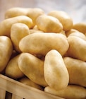 Pomme de terre de consommation - Intermarché Super à Cannes Pomme de terre de consommation en promo chez Intermarché Super Cannes à 2,99 €