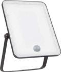 LED Außenleuchte Flood Essential bei Globus-Baumarkt im Prospekt "" für 10,00 €