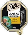 Katzennahrung im Angebot bei Rossmann in Dresden Katzennahrung Angebote von Sheba bei Rossmann Dresden für 0,49 €
