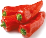 Spitzpaprika rot im aktuellen Netto mit dem Scottie Prospekt