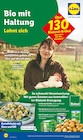 Lidl - Angebot im Prospekt bei Lidl im Prospekt "" für