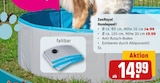 Hundepool von ZooRoyal im aktuellen REWE Prospekt