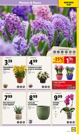 Chrysanthèmes Angebote im Prospekt "LIDL forcément MOINS CHER" von Lidl Chrysanthèmes Angebote im Prospekt "LIDL forcément MOINS CHER" von Lidl auf Seite 31