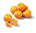 Mandarinen/Clementinen, lose im aktuellen Lidl Prospekt