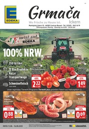 EDEKA Prospekt für Castrop-Rauxel: "Aktuelle Angebote", 24 Seiten, 11.08.2025 - 16.08.2025