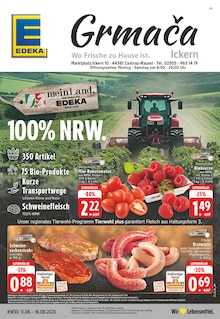 Aktueller EDEKA Prospekt "Aktuelle Angebote" für Castrop-Rauxel Aktueller EDEKA Prospekt für Castrop-Rauxel mit Seiten