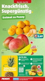 Ananas im Penny Prospekt "Wer günstig will, muss Penny." mit 38 Seiten (Frankfurt (Main))
