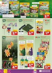 Dekoration im Netto Marken-Discount Prospekt in Gladbeck Aktueller Netto Marken-Discount Prospekt mit Dekoration, "Aktuelle Angebote", Seite 48