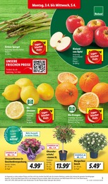 Spargel Angebot & Preis im aktuellen Lidl Prospekt Spargel Angebot im aktuellen Lidl Prospekt auf Seite 3