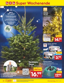 Tannenbaum im Netto Marken-Discount Prospekt "Aktuelle Angebote" mit 55 Seiten (Potsdam)