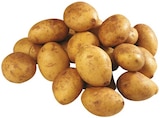 Aktuelles Speisekartoffeln 'Cilena' Angebot bei REWE in Siegen (Universitätsstadt) ab 11,50 €