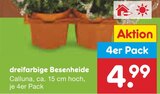 Netto Marken-Discount - dreifarbige Besenheide Angebot im Prospekt dreifarbige Besenheide bei Netto Marken-Discount im Prospekt "" für 4,99 €