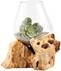 Aktuelles Vase auf Holzfuß Angebot bei XXXLutz Möbelhäuser in Salzgitter