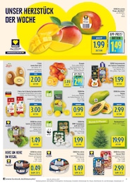 diska Pflanzen im Prospekt diska Pflanzen im Prospekt