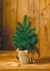 Aktuelle Weihnachtsbaum Angebote bei Netto mit dem Scottie in Norderstedt Aktuelles Deko-Tannenbaum im Jutebeutel Angebot bei Netto mit dem Scottie in Norderstedt ab 6,99 €