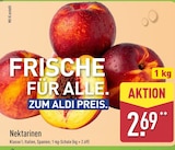 ALDI Nord - Nektarinen Angebot im Prospekt Nektarinen bei ALDI Nord im Prospekt "" für 2,69 €