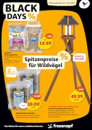 Fressnapf Gartendeko im Prospekt 