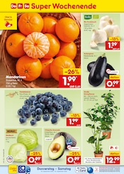 Palme im Netto Marken-Discount Prospekt in Marl Aktueller Netto Marken-Discount Prospekt mit Palme, "Aktuelle Angebote", Seite 52
