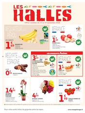 Promos Orchidée dans le catalogue "LA RENTRÉE À PRIX K.O." de Auchan Hypermarché à la page 18 Promos Orchidée dans le catalogue "LA RENTRÉE À PRIX K.O." de Auchan Hypermarché à la page 18