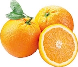 Bio Orangen bei E center im Schüttorf Prospekt für 2,99 €