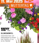 BLUMENAMPEL im Angebot bei OBI in Dessau-Roßlau BLUMENAMPEL Angebote bei OBI Dessau-Roßlau für 11,99 €