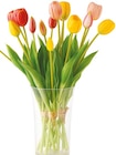 Künstlicher Tulpenstrauß im aktuellen Netto mit dem Scottie Prospekt