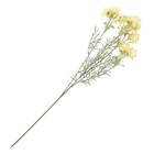 Kunstblume Magnolie Angebote bei Ernstings family Dessau-Roßlau für 3,99 €