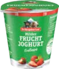 Aktuelle Joghurt Angebote bei EDEKA in Regensburg Aktuelles Frucht-Joghurt Angebot bei EDEKA in Regensburg ab 0,49 €