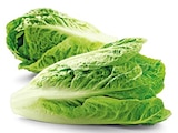 Bio Romana Salatherzen von REWE Bio im aktuellen REWE Prospekt für 1,49 €