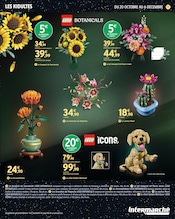 Chrysanthèmes en promo dans le catalogue Intermarché Hyper à la page 77