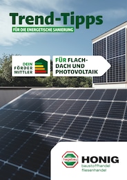 Honig Baustoffe Prospekt für Elze: "Trend-Tipps FÜR DIE ENERGETISCHE SANIERUNG", 8 Seiten, 04.10.2024 - 13.10.2024