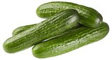 REWE Hildburghausen - Mini Gurke Angebot im Prospekt Mini Gurke bei REWE im Hildburghausen Prospekt für 0,39 €