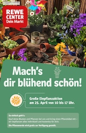 REWE Prospekt "Dein Markt" für Taunusstein, 36 Seiten, 20.04.2026 - 25.04.2026