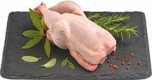 Frische Stubenküken* bei NETTO mit dem Scottie in Magdeburg Frische Stubenküken* im Angebot bei NETTO mit dem Scottie Magdeburg für 2,79 €