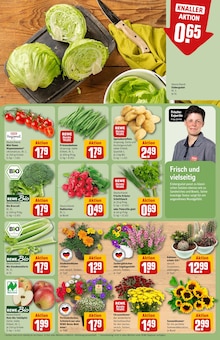 Äpfel im aktuellen REWE Prospekt (Halle (Saale)) Äpfel im REWE Prospekt "Dein Markt" mit 30 Seiten (Halle (Saale))