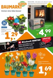 Globus-Baumarkt Baumärkte Prospekt der aktuellen Woche mit 17 Seiten, gültig von 22.02.2026 bis 27.02.2026, in Wartenberg und Umgebung Aktueller Globus-Baumarkt Baumärkte Prospekt in Wartenberg und Umgebung, "Immer eine Idee besser" mit 17 Seiten, 22.02.2026 - 27.02.2026