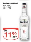 Sambuca im Angebot bei GLOBUS in Gera Sambuca Angebote von Molinari bei GLOBUS Gera für 11,99 €