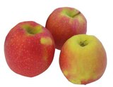 EDEKA Velen - Bio Tafeläpfel 'Pink Lady' Angebot im Prospekt Bio Tafeläpfel 'Pink Lady' bei EDEKA im Velen Prospekt für 2,49 €