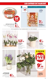 Offre Plante D'intérieur dans le catalogue Super U du moment à la page 31