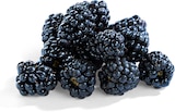 Brombeeren von Driscoll's im aktuellen Netto Marken-Discount Prospekt für 1,49 €