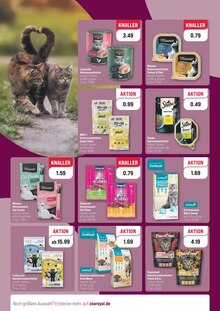 Katzenfutter im aktuellen ZooRoyal Prospekt (Düsseldorf) Katzenfutter im ZooRoyal Prospekt "WIR FEIERN DEN WELT-KATZENTAG!" mit 8 Seiten (Düsseldorf)