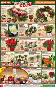 Feuerwerk im aktuellen Norma Prospekt (Marl) Feuerwerk im Norma Prospekt "Mehr fürs Geld" mit 18 Seiten (Marl)