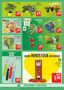 Hortensie im Marktkauf Prospekt "AUSWAHL RIESIG, PREISE NIEDRIG" mit 44 Seiten (Leipzig)