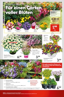 Blumentopf im Hellweg Prospekt "Traumterrasse in jedem Fall" mit 24 Seiten (Essen)