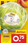 Eisbergsalat im Angebot bei Netto Marken-Discount in Bremerhaven Eisbergsalat Angebote bei Netto Marken-Discount Bremerhaven für 0,75 €