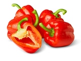 Rote Paprika Angebote bei Penny Gelsenkirchen für 1,39 €