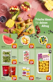 Ingwer im REWE Prospekt in Düsseldorf Aktueller REWE Prospekt mit Ingwer, "Dein Markt", Seite 20