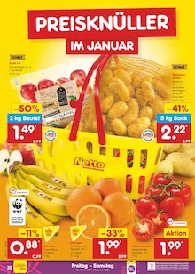 Äpfel im Netto Marken-Discount Prospekt "Aktuelle Angebote" mit 62 Seiten (Siegen (Universitätsstadt))