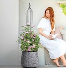 Obelisk 'Manchester' von  im aktuellen Dehner Garten-Center Prospekt für 29,99 €